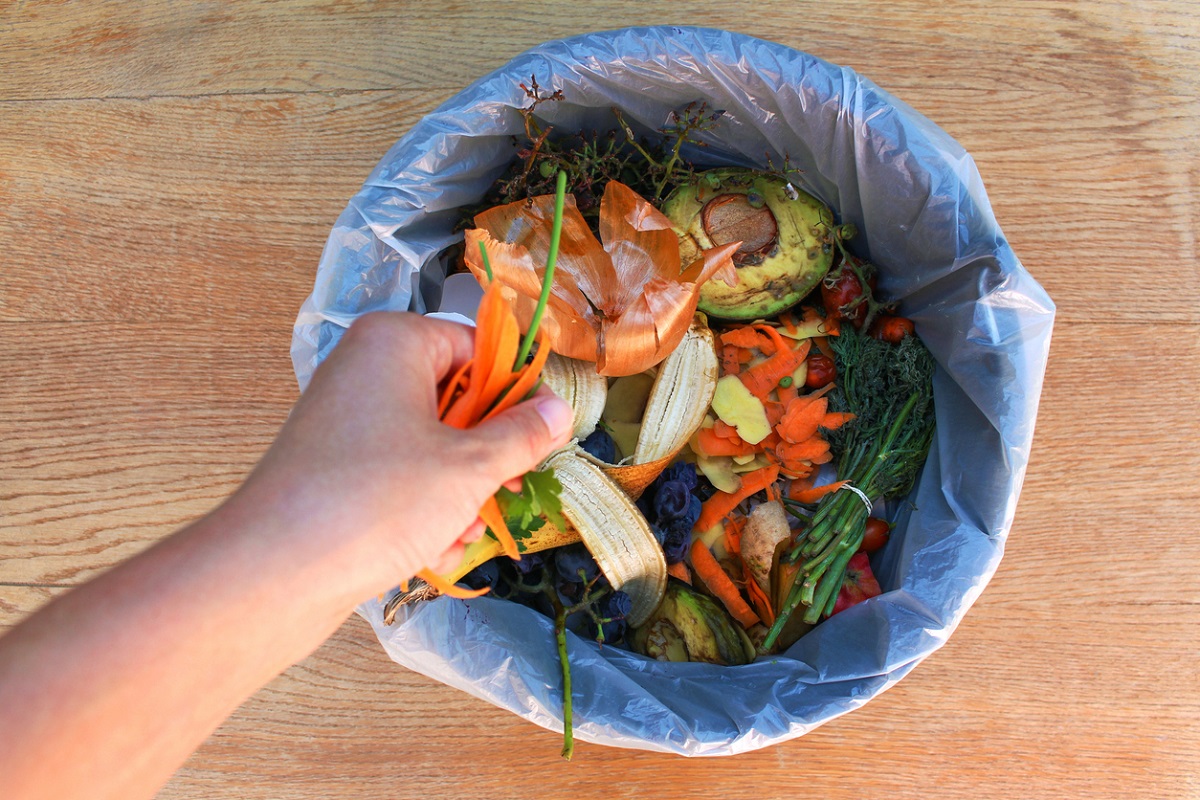14% thực phẩm toàn cầu bị vứt bỏ, báo cáo của FAO