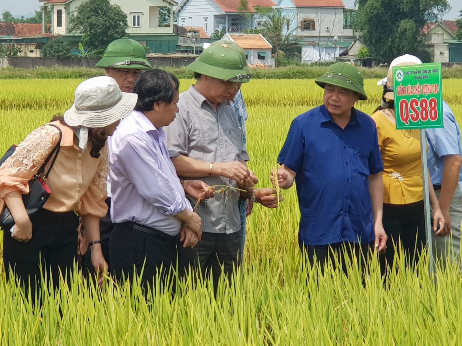 Thứ trưởng Bộ NN&PTNT Lê Quốc Doanh thăm các mô hình giống lúa mới kháng bệnh bạc lá và giống lạc kháng bệnh đốm muộn tại Nghệ An.