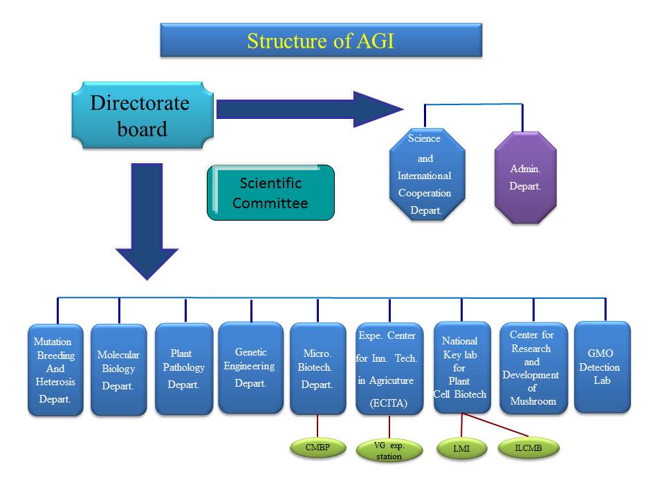 Structure of AGI