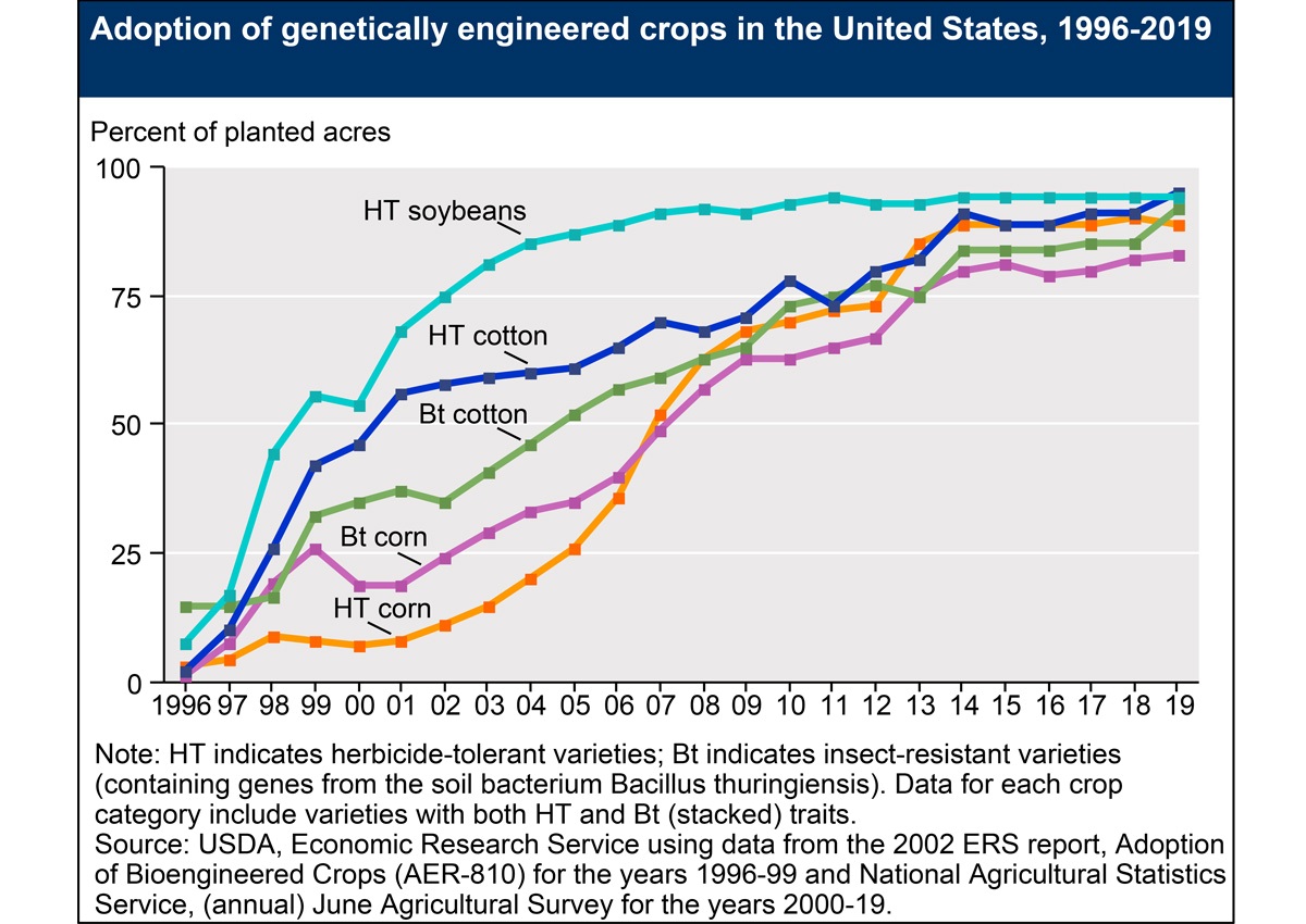 92% diện tích trồng bông và 90% diện tích trồng ngô ở Hoa Kỳ là các giống GE 